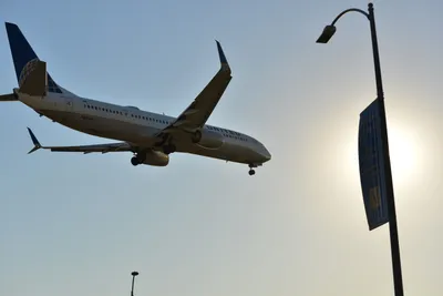 DSC_5671 (Large).JPG